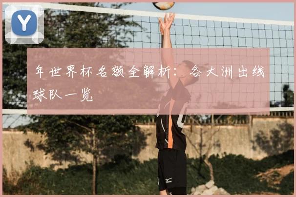 年世界杯名额全解析：各大洲出线球队一览