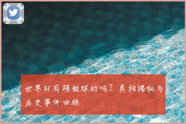 世界杯有踢假球的吗?真相揭秘与历史事件回顾