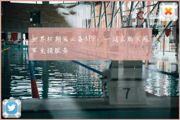 世界杯期间必备APP,一站式购买冠军竞猜服务
