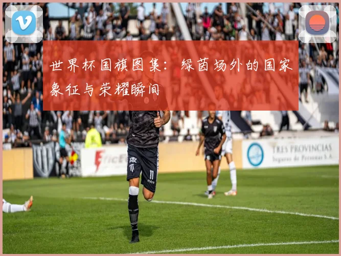 世界杯国旗图集：绿茵场外的国家象征与荣耀瞬间