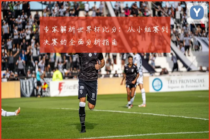 专家解析世界杯比分：从小组赛到决赛的全面分析指南