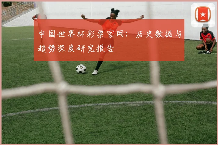 中国世界杯彩票官网：历史数据与趋势深度研究报告