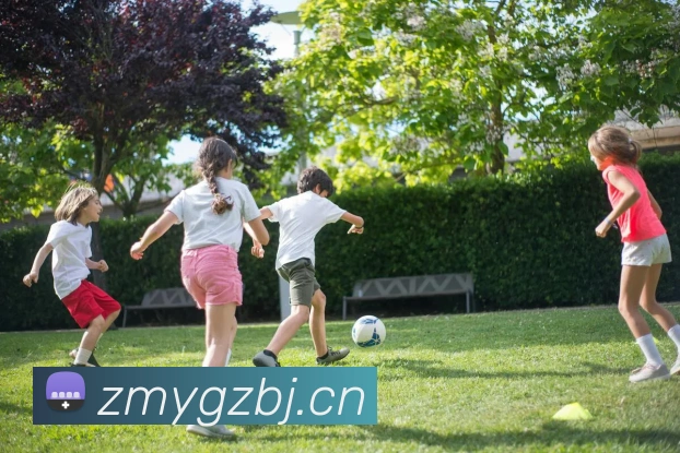 App Interface Preview